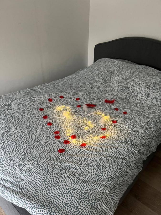 Rouen Verdun Superbe Appartement Proche Du Chu Екстериор снимка